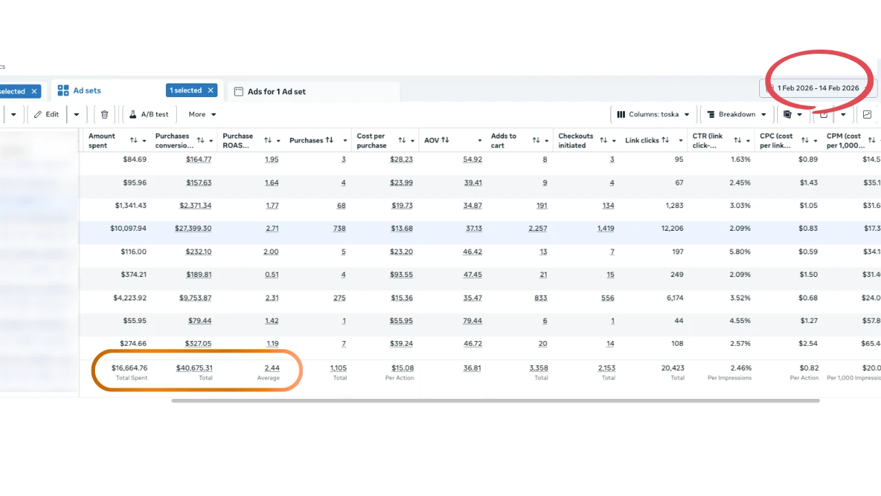 Case study 4, Meta Ads Manager results